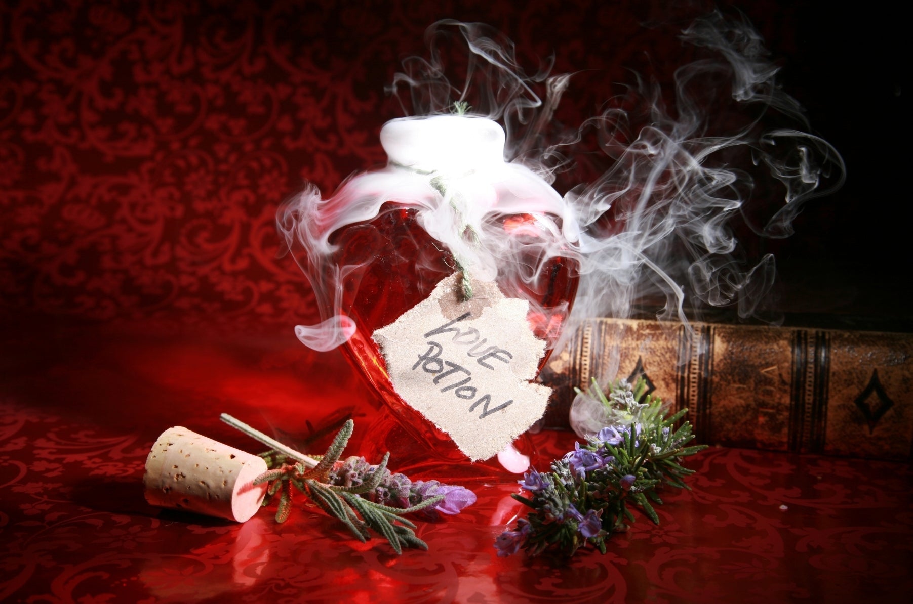 The Science of Attraction: How Pheromones Really Work