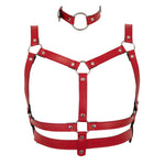 Red Chest Harness & Collar.