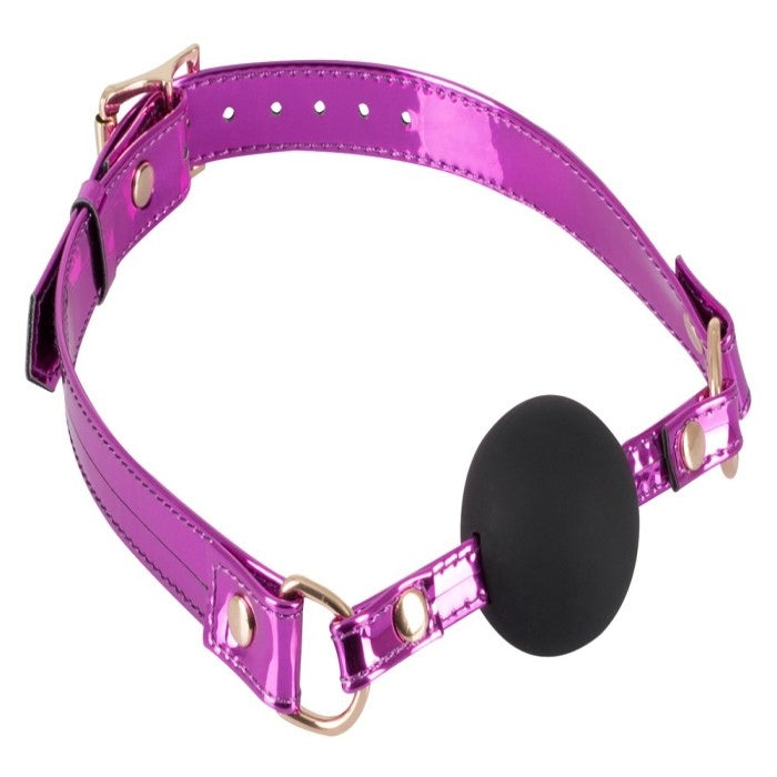 Purple adjustable collar with black gag ball.