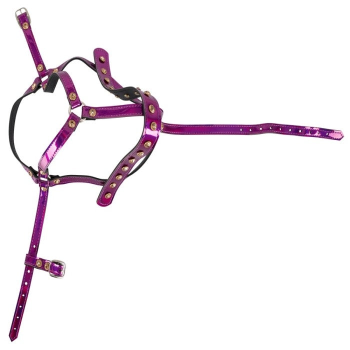 The Bad Kitty adjustable head harness in purple is a BDSM accessory designed to add an extra level of excitement to your playtime. The head harness is made of high-quality materials, with a soft, comfortable and adjustable straps that fits snugly around the head. The harness features a O-ring at the front, which can be used to attach other bondage accessories or lead your partner around. The purple color gives a sensual and seductive touch to the overall look.