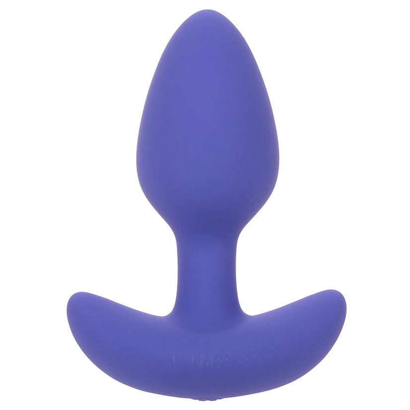 Calexotics Connect Tapered Probe Anal Plug 9F (USB)