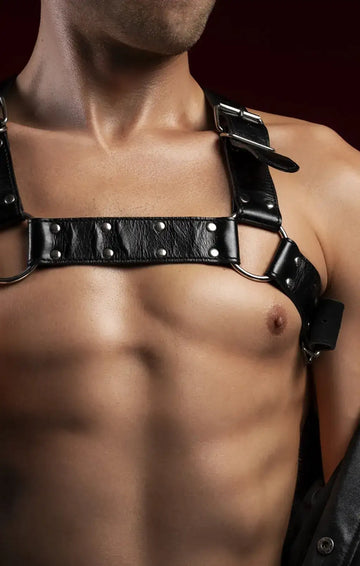 Black leather harness with silver-toned metal hardware and adjustable straps.