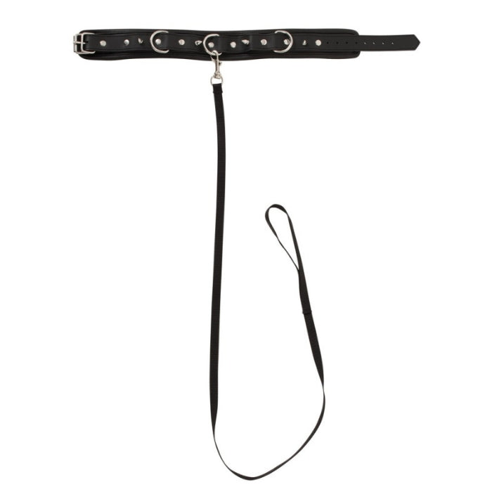 Bad Kitty Bondage Collar with spikes and Leash - Black, adjustable.