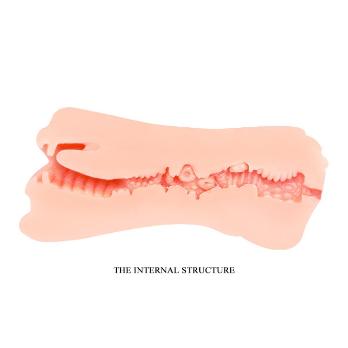 Cross-section of jaw showing teeth and bone, featured in Baile Crazy Bull Masturbator at Lady Jane Shop