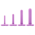 Lady Jane Adult Sex Shop | Dilator Wellness Kit Purple (4) | Draft