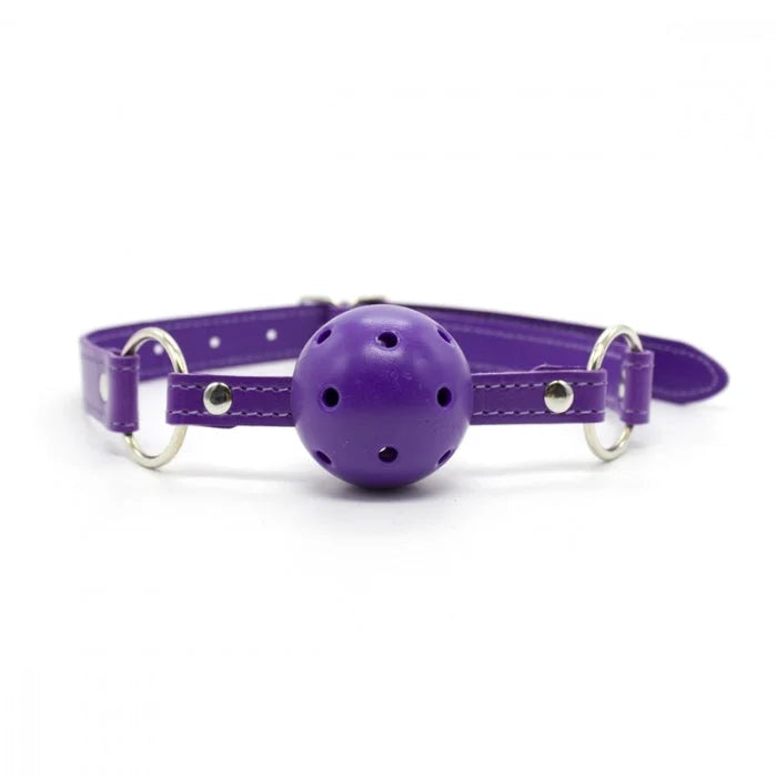 Purple leather gag with spherical perforated head and silver rings from everything bondage 12 piece kit with faux fur lined cuffs