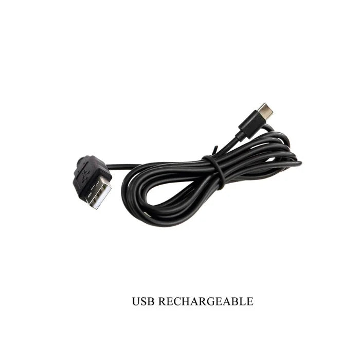 Pretty Love DJ Scholar purple thrusting gun with black USB-C cable