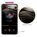 Purple Pretty Love Leviathan egg bullet vibrator with music player app