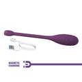 Pretty Love Leviathan egg bullet purple silicone wand vibrator
