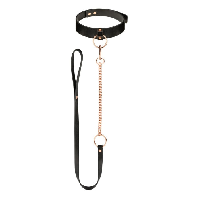 Lady Jane Adult Sex Shop | Rosy Gold Collar with Leash