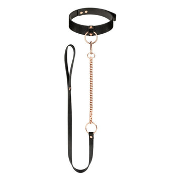 Lady Jane Adult Sex Shop | Rosy Gold Collar with Leash