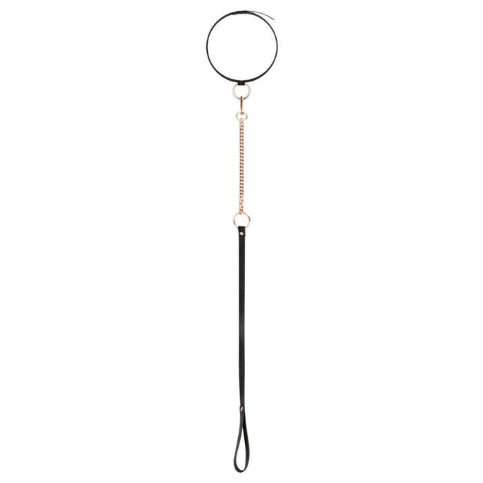 Lady Jane Adult Sex Shop | Rosy Gold Collar with Leash
