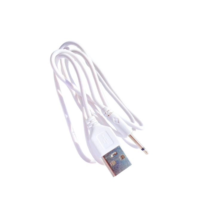 Lady Jane Adult Sex Shop | Swan Standard Replacement Charger