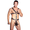 Lady Jane Adult Sex Shop | Zado Male Leather Harness - Black