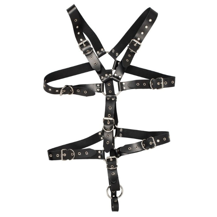Lady Jane Adult Sex Shop | Zado Male Leather Harness - Black