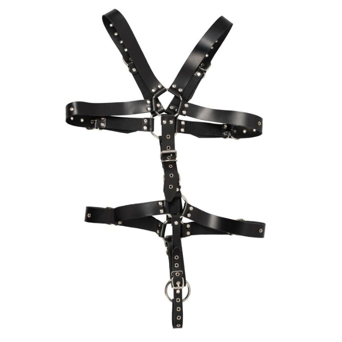 Lady Jane Adult Sex Shop | Zado Male Leather Harness - Black